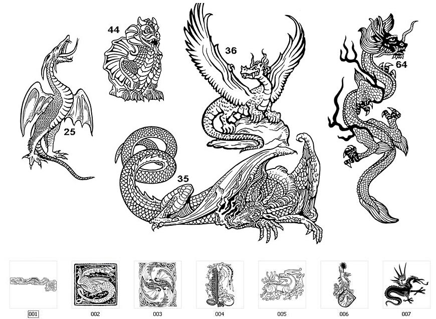 Dragon Designs