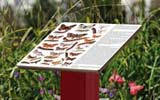 Outdoor Lectern  Signage