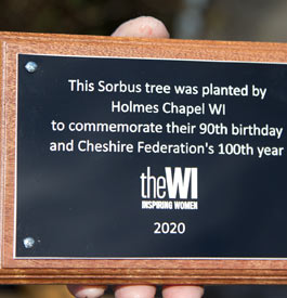 Tree plaque for the WI in black anodised aluminium with a backing board.