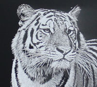 Beautiful Black and White Etchings