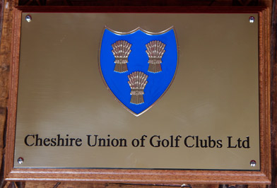 This engraved brass plaque used two colour paint fills plus the wheat sheaths were scrath engraved to very good effect
