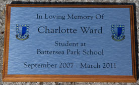 Wood and corian backing boards for plaques