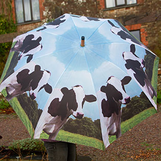 Cow Umbrella.