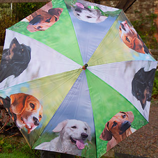 Dog Umbrellas