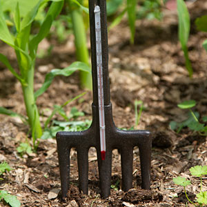 Garden fork thermometer.