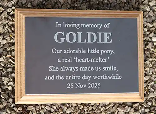 The dark bronze is a gloss finiah. Dark Bronze Memorial Plaque