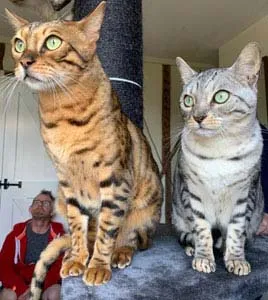 Photo from customer. Original Photo For Wooden Mwmorial