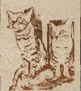 The end result lasered onto wood. The Lasered Wooden Memorial