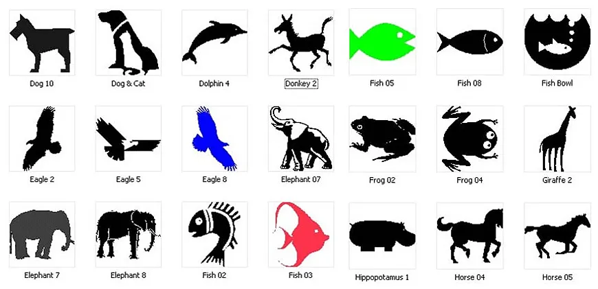 Animal images. Dolphin, donkey, fish, frog