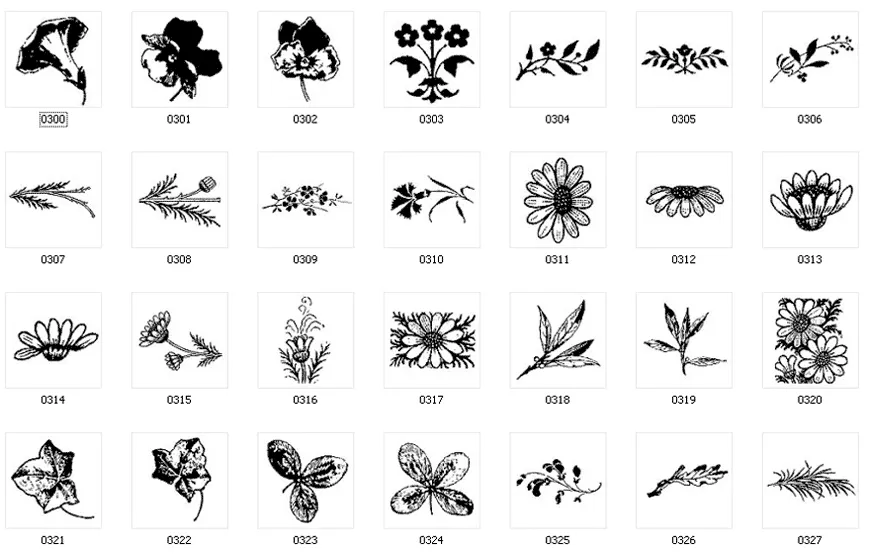 Decorative designs, flower, daisy, pansy, leaf