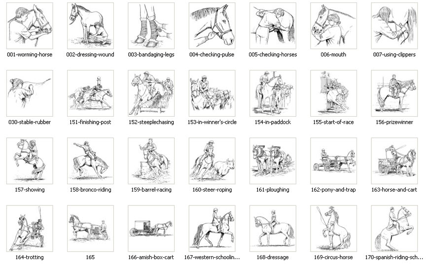 Images depictimg horse and equine care, racing, ploughing, horse and cart