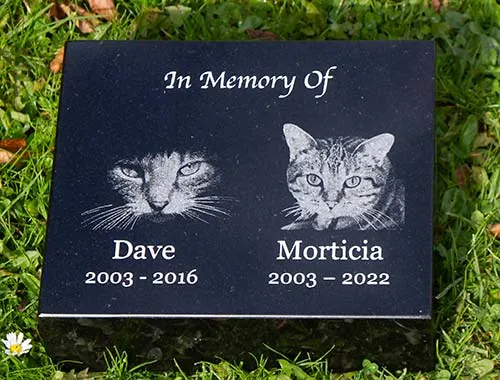 Even good photo can be impact engraved into dark slate Impact Engraved Image