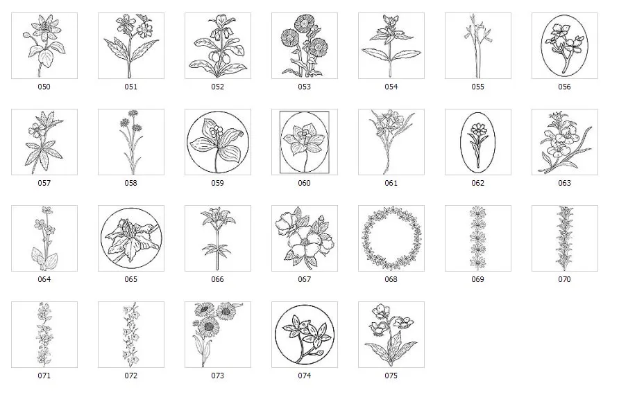 A selection of wild flower designs