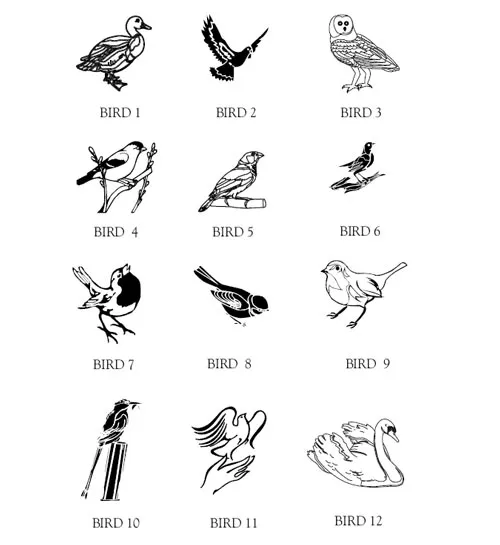 Bird Motifs