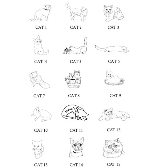 Cat Motifs