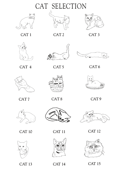 Cat Images
