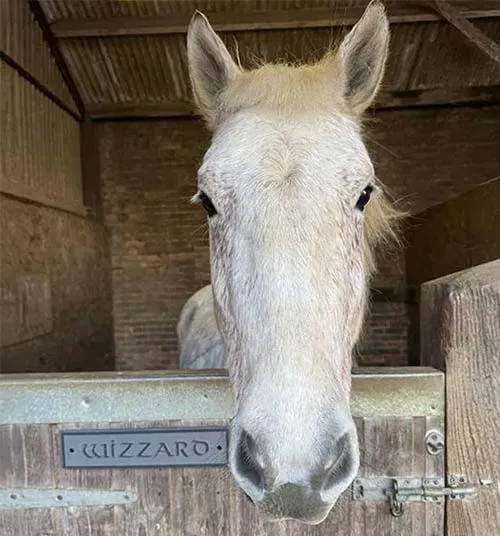 The background was blasted away leaving the lettering raised Slate Stable Door Sign