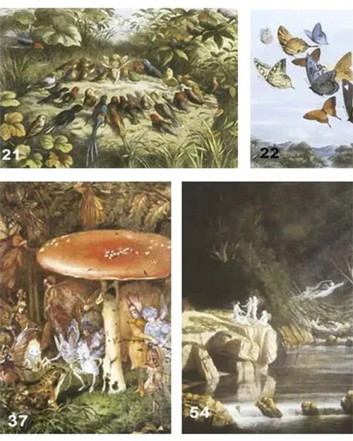 Fairy Images