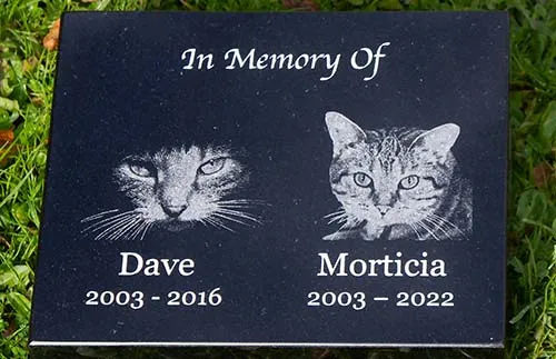The best way of using a photo is to convert to line art Cat Memorial