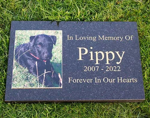 This was a ToughPrint plaque set into the granite Granite Memorial with Inlaid Photo