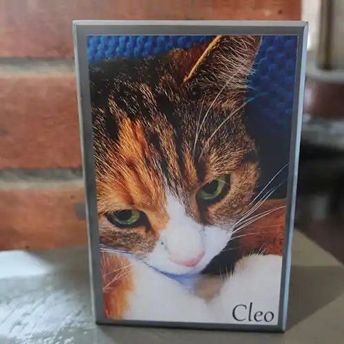 Cat Photo Memorial