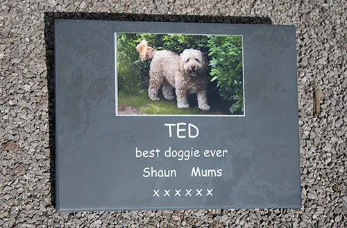 This image was too detailed to deep engrave but was fine for laser engraving. Slate with Full Colour Photo Insert