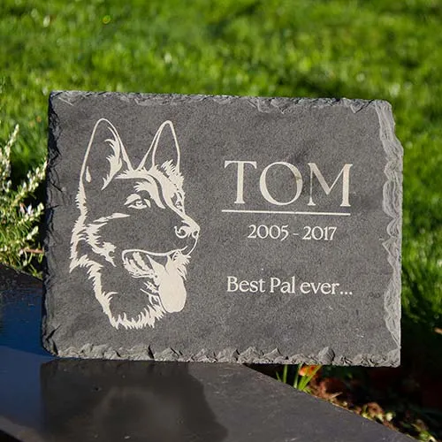 title here Alt text here