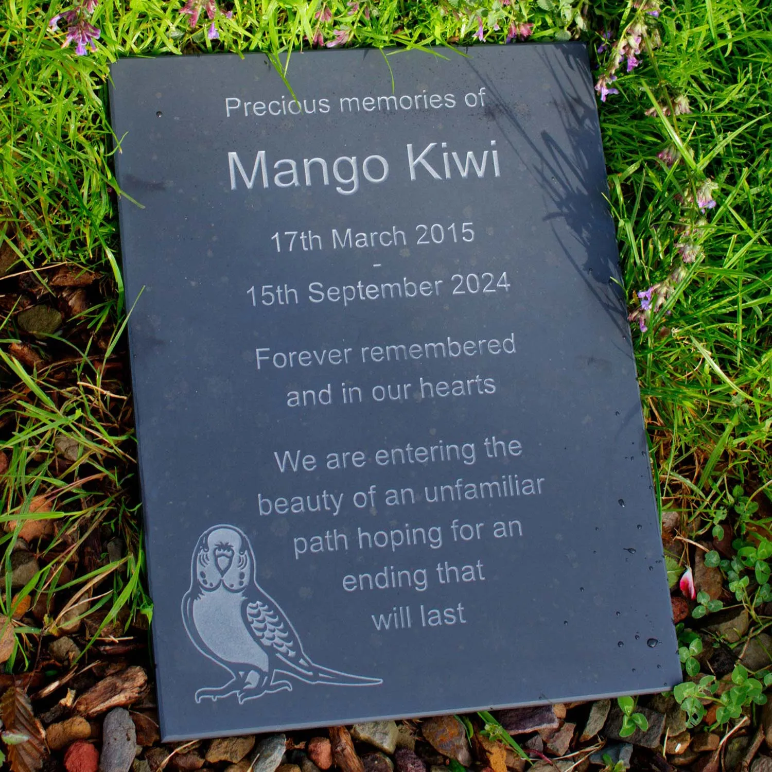 title here Lasered Etched Plaque