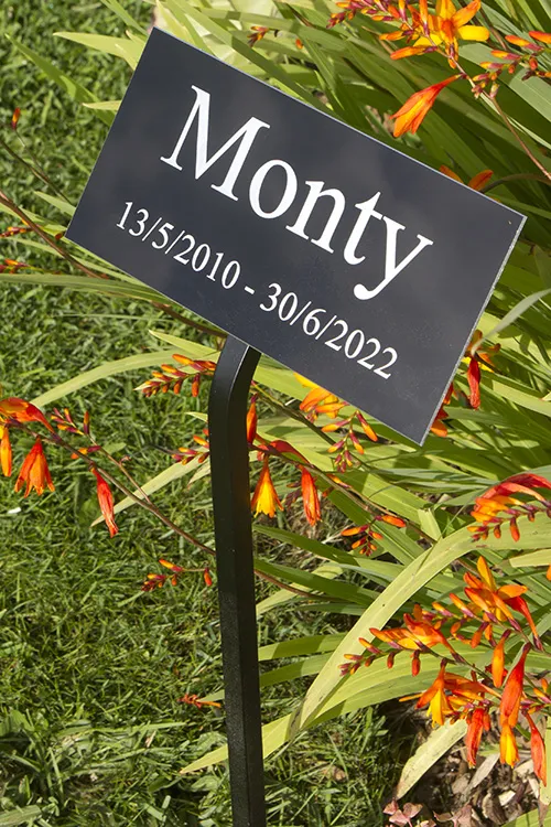 Pet-memorial-plaque-with-stake
