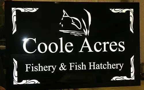 Reflective Sign for Business