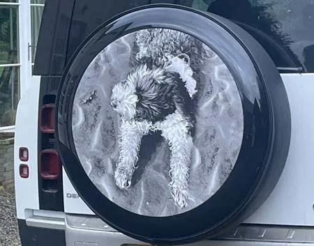 Customers wheel cover on her Defender. Customers wheel cover on her Defender.