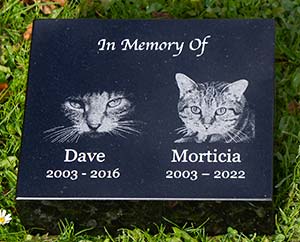 Good photos etched into granite.