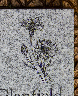 This cornflower image was created by our impact engraver into granite surface