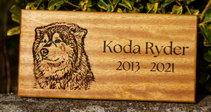 Wooden memorial plaque with pet photo.