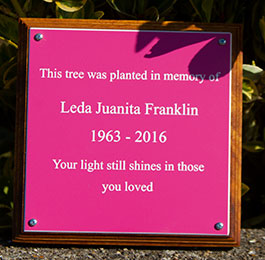 Pink memorial plaque