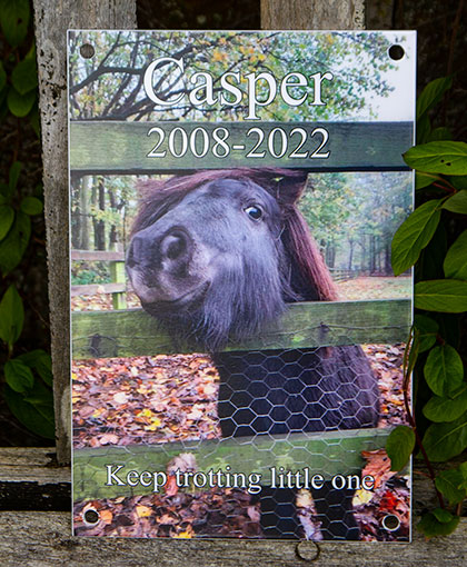 Photo memorial plaques for pets and people.