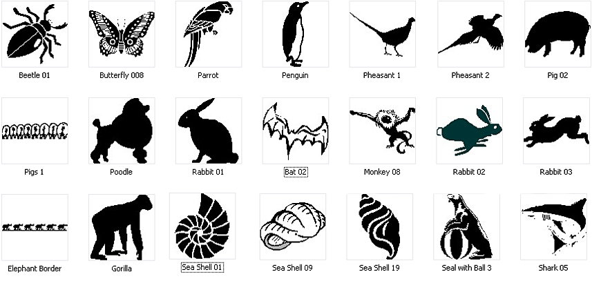 Animal Designs