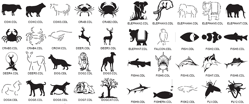 Animal Designs