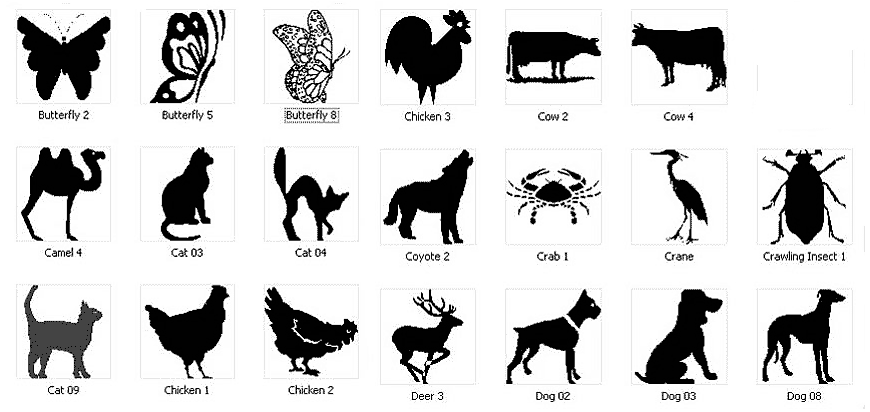 Animal Designs