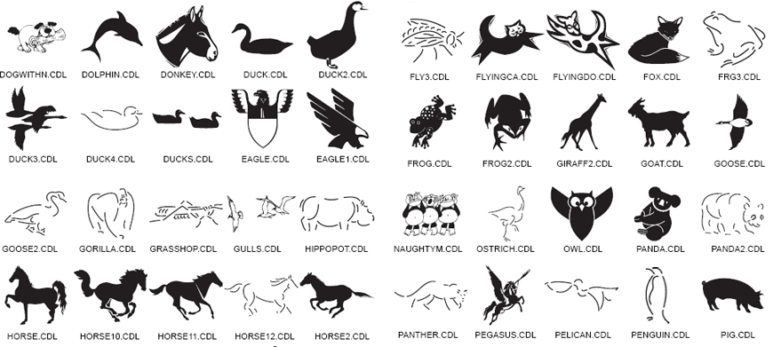 Animal Designs