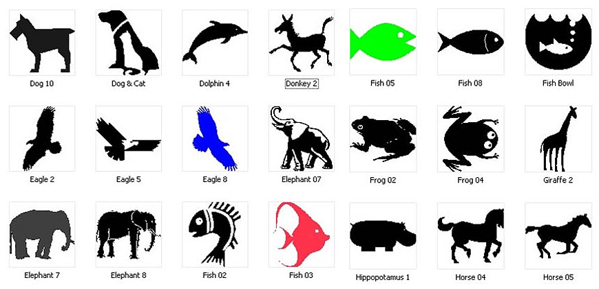 Animal Designs