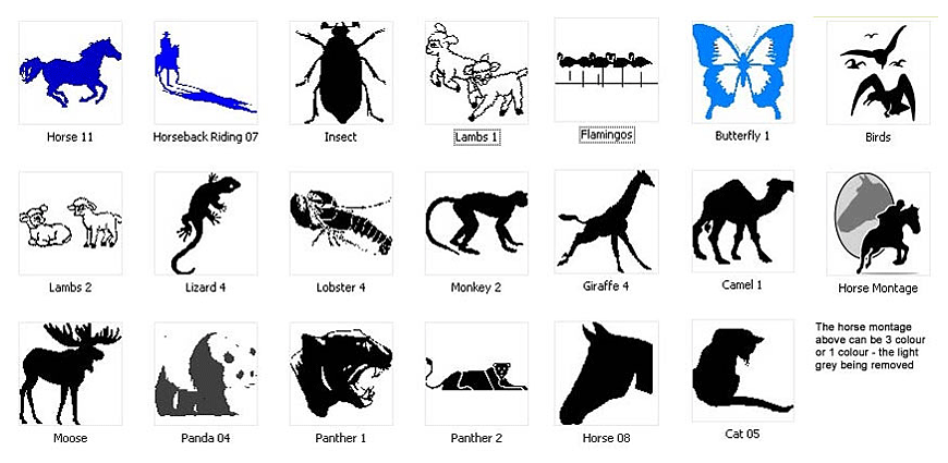 Animal Designs