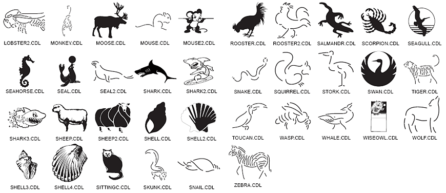 Animal Designs