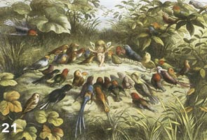 Fairy with Bird Audience