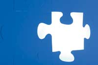 Single Jigsaw Piece