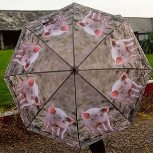 Pig Umbrella (adult)