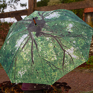 Tree Umbrella