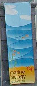 Vertical Banner