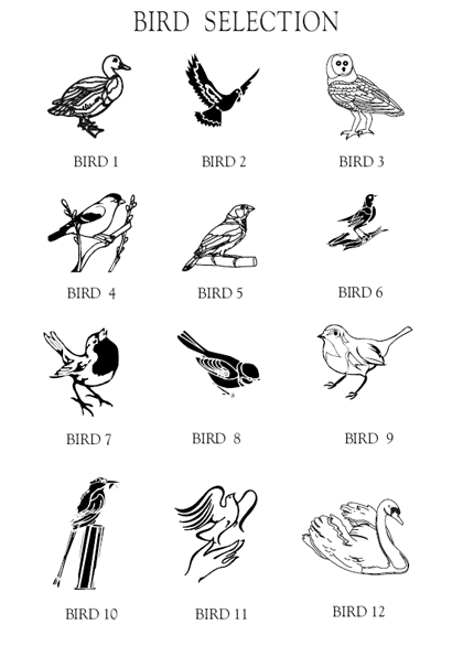 Bird Images