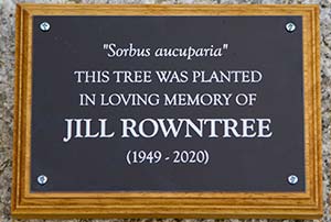 Engraved black plaque on backing board.